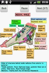 game pic for Anatomy of the Ankle Joint